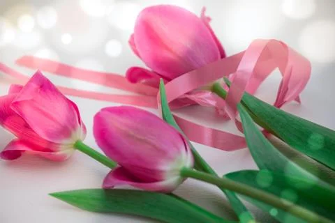 A bouquet of pink tulips for the holiday bandaged with a pink ribbon. Stock Photos
