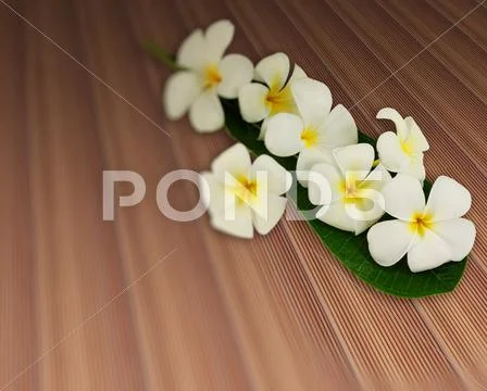Bouquet of plumeria flowers with leaf on plank teak strip texture wood floor Stock Illustration