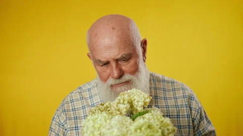 Bouquet. Portrait of an elderly gray-haired bearded man in a shirt holding a Stock Footage 261762967
