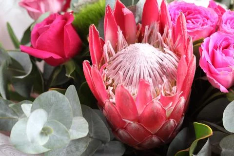 Bouquet with protea flower Stock Photos
