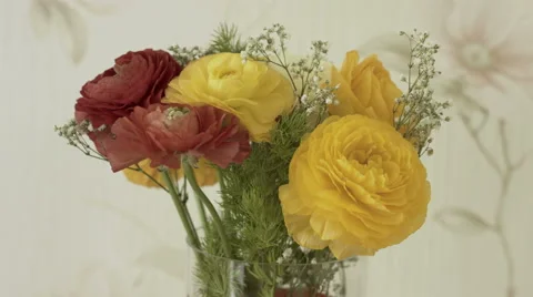 Bouquet of ranunculus in a transparent vase on the table Stock Footage 62980857