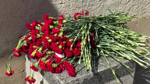 Bouquet of red carnations lying on a stone monument Video stock 339789365