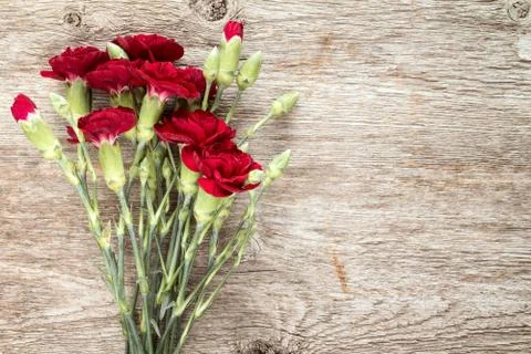 Bouquet of red carnations. Stock Photos
