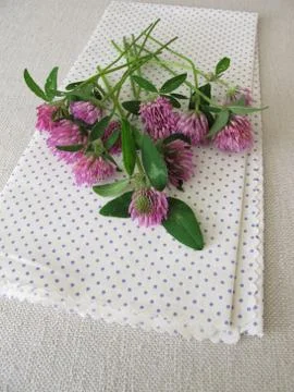Bouquet of red clover Stock Photos
