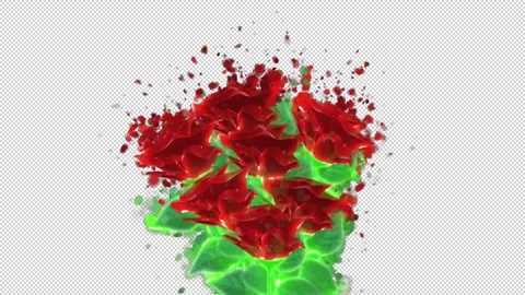 Bouquet red Stock Footage 262138875