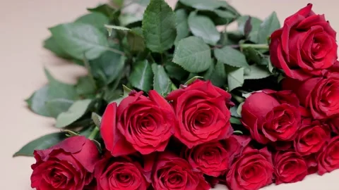 A bouquet red roses falls table Against background green leaves Valentine's Day Stock Footage 230473909