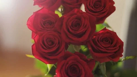 A Bouquet of Red Roses Stock Footage 69856387