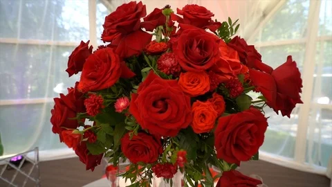 Bouquet of red roses Stock Footage 101732736