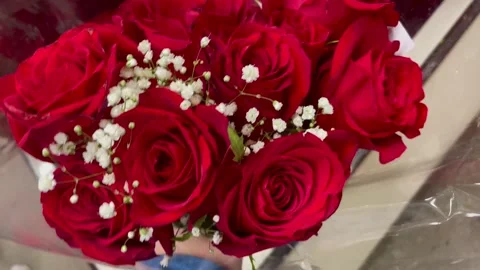 Bouquet of Red Roses Video stock 230554277