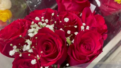 Bouquet of red roses Video stock 230554549