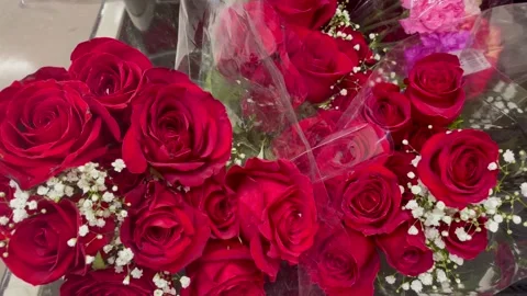 A bouquet of red roses Video stock 230554904