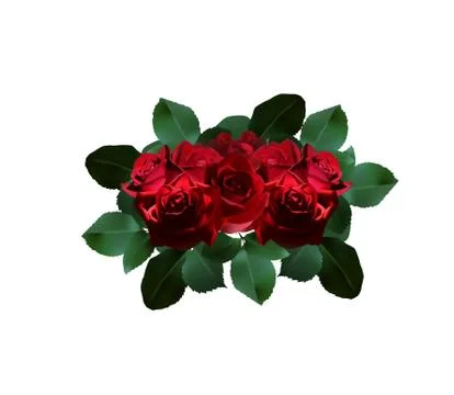 A bouquet of red roses Stock Illustration