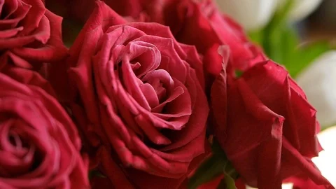 Bouquet of red roses for vilentines day Stock Footage 108971653