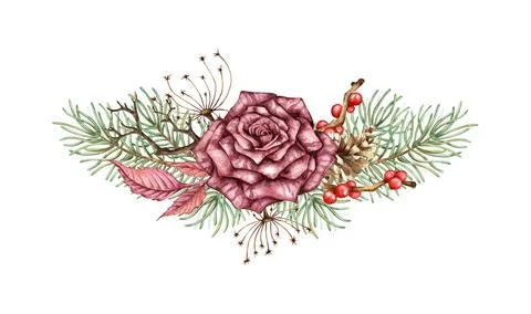 Bouquet rose pine cone dried flower berry watercolor Stock Illustration