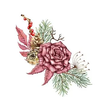 Bouquet rose pine cones dried flowers branch berry watercolor Stock Illustration