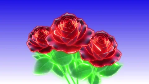 Bouquet of roses 06 Stock Footage 263154878