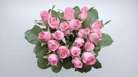 Bouquet of roses. 3 Stock Footage 101526977