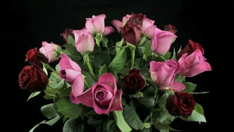 Bouquet of roses on a dark background rotates Stock Footage