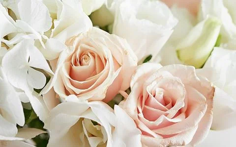 Bouquet of roses, eustomas and hydrangeas on table. Cup of tea and photo fram Stock Photos