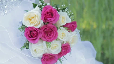 Bouquet of roses Stock Footage 37711993