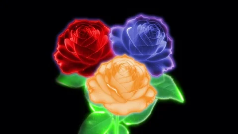 Bouquet of roses Stock Footage 263154854