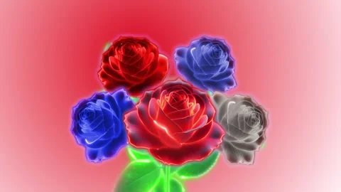 Bouquet of roses Stock Footage 263154855