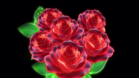 Bouquet of roses Stock Footage 263154856