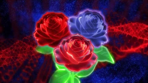 Bouquet of roses Stock Footage 263154859