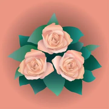 Bouquet of roses Stock Illustration