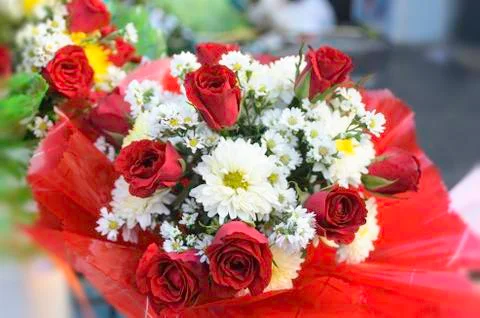 Bouquet of roses Stock Photos