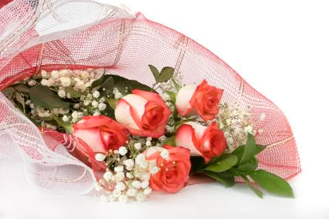 Bouquet of roses Stock Photos