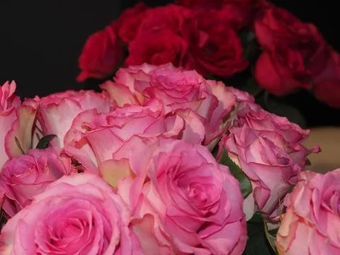 Bouquet of roses on the table Stock Photos
