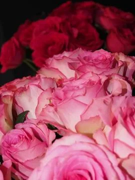 Bouquet of roses on the table Stock Photos