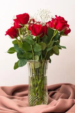 Bouquet of roses in a vase with neutral background. Stock Photos