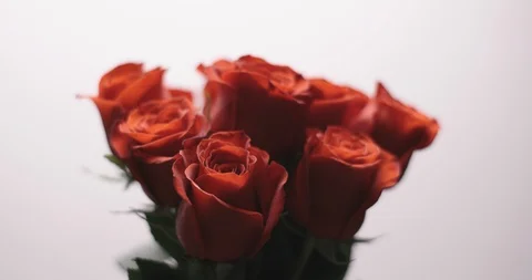 Bouquet of roses on white background Stock Footage 127130077