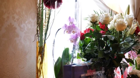 Bouquet with roses at the window Stock Footage 102234530