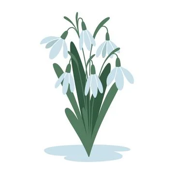 Bouquet of snowdrops, first spring flowers, cartoon style. Trendy modern vector Stock Illustration