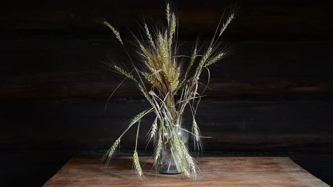 Bouquet of spikelets of barley Stock Footage 116022358