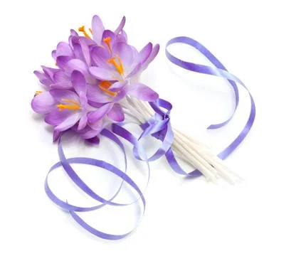 Bouquet of spring crocuses on a white background Stock Photos