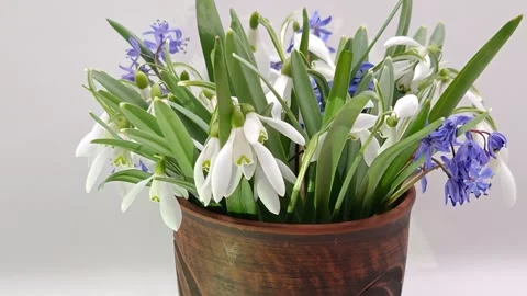 A bouquet of spring flowers Видео 331394708