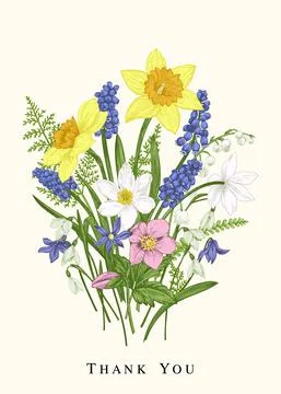 Bouquet with spring flowers. Stock Illustration