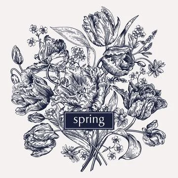 Bouquet of spring flowers. Illustrazione stock