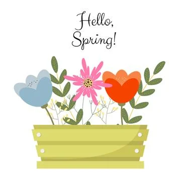 Bouquet of spring flowers inside the box with text Hello spring. Flat design Stock Illustration
