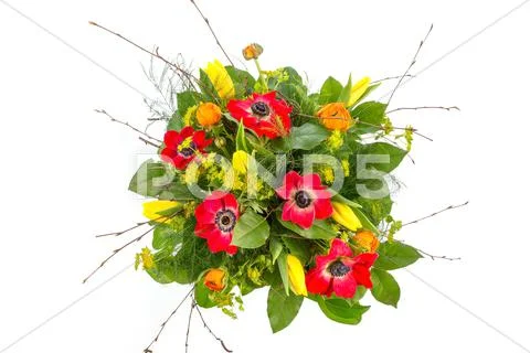 Bouquet of spring flowers Stock Photos