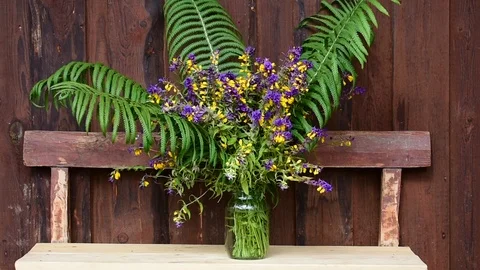 Bouquet of summer flowers Video stock 117479233
