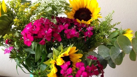 Bouquet of Sunflowers Stock Footage 75599711
