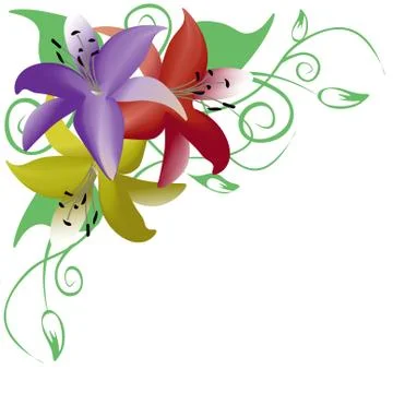 Bouquet of three multicolored roses, corner ornament Stock Illustration