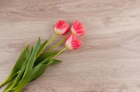Bouquet of tulips on table Stock Photos
