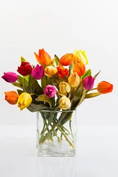 Bouquet of tulips in a vase Stock Photos