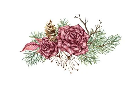 Bouquet two roses pine cone dried flowers watercolor Stock Illustration